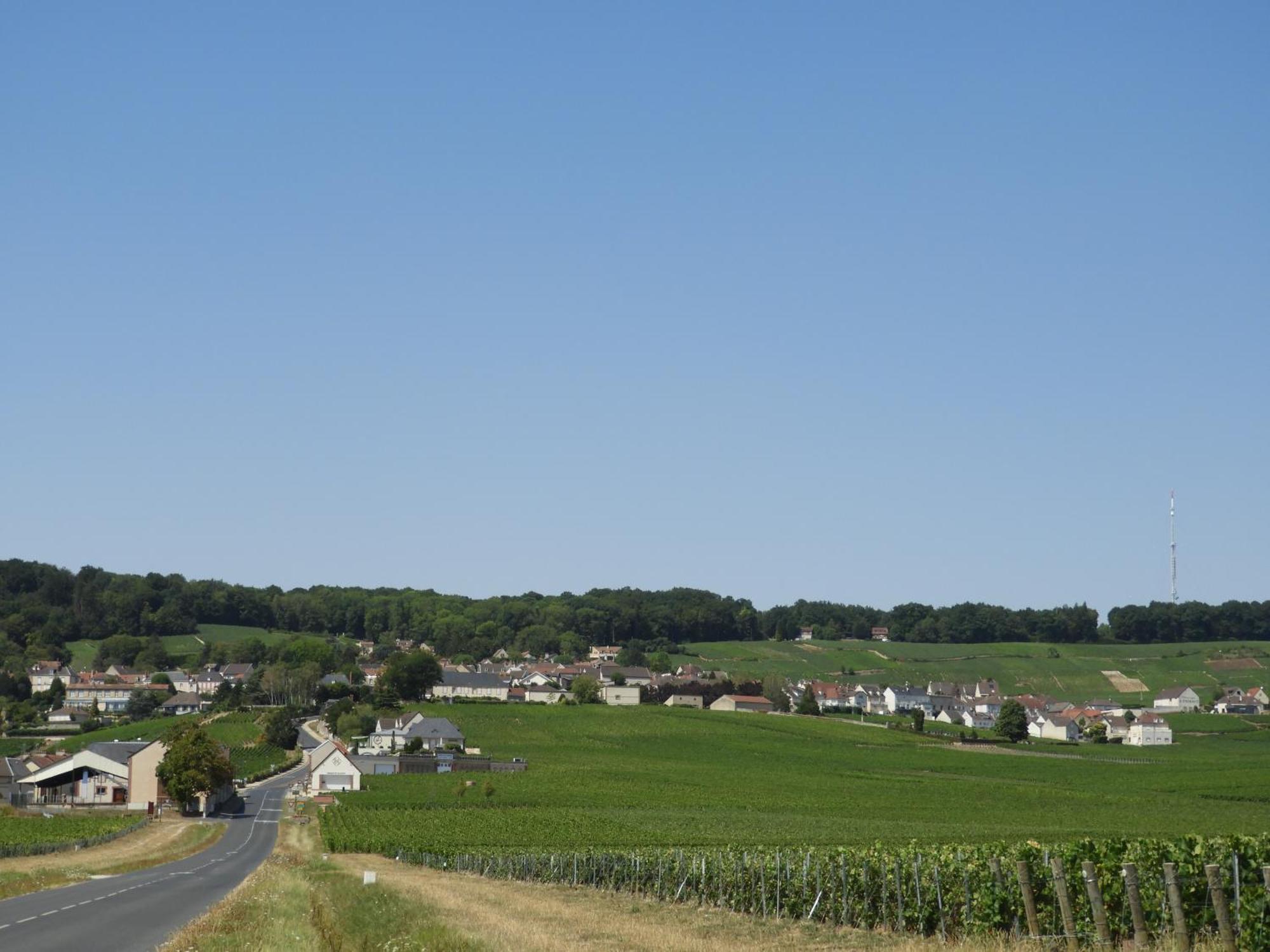 Appartamento Les Galipes Hautvillers Esterno foto
